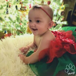 Kirei Sui Baby Pettiskirt Christmas Holiday Tutu